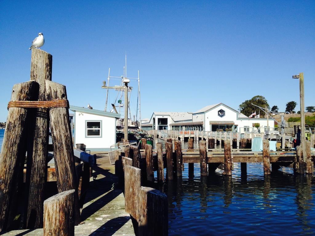 The Inn At The Tides Bodega Bay Exteriör bild